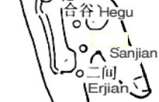 Shangyang-LI1