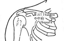 LU1-zhongfu