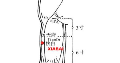 Xiabai-lu4