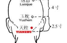 Heaven here means "upper". The cervical spine was called "zhugu" (pillar bone} in ancient times and tianzhu is lateral to it.