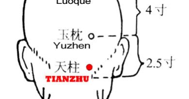 Heaven here means "upper". The cervical spine was called "zhugu" (pillar bone} in ancient times and tianzhu is lateral to it.