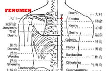 Fengmen is located where it is easily invaded by the pathogenic wind and is good for treating the diseases caused by the wind. The point is therefore considered as the door of the pathogenic wind.
