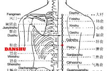Danshu is the place where the Qi of the gallbladder is infused into the back.