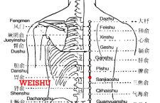 Weishu is the place where the Qi of the stomach infuses into the back.