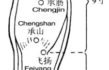 Weizhong is at the midpoint of the transverse crease of the popliteal fossa.