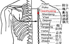 Gaohuangshu-BL43