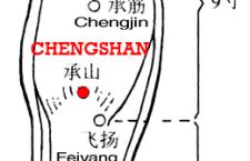 The two bellies of the gastrocnemius muscle are so prominent as a mountain, chengshan, BL57 is below them, as sustaining the mountain.