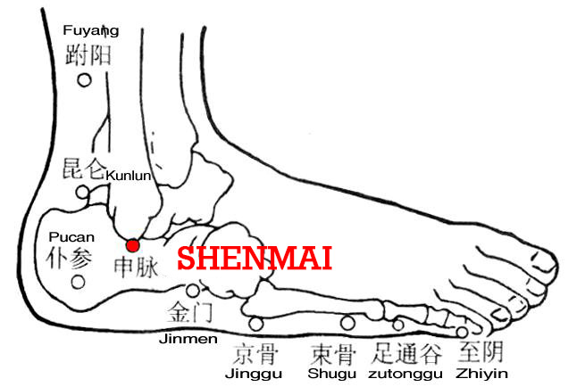 Shenmai pertains to the bladder meridian, from where the meridian extends to the Yang Heel Vessel (Yangqiaomai).