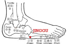 Jinggu is an ancient name for the tuberosity of the 5th metatarsal and the point is on the lateral aspect of the tuberosity of the 5th metatarsal.