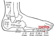Yin refers to the foot-shaoyin meridian. Zhiyin, BL67 is the end point of the bladder meridian of Foot-Taiyang. From here it reaches to the foot-shaoyin meridian.