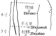 With the arm abducted and parallel to ground, Jianyu LI15 lies at the upper border of the deltoid muscle, in the inferior anterior depression of shoulder