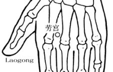 Zhongchong-PC9