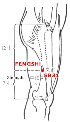 Fengshi GB31 : Nomenclature, Location, Function, Indication, Method ...