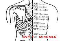 Mingmen-GV4