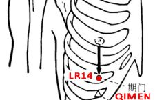 Qimen-LR14