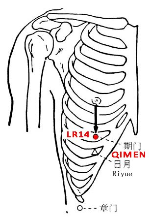 Qimen-LR14