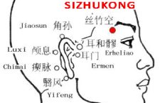 Sizhukong-TE23