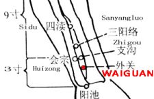 Waiguan-TE5