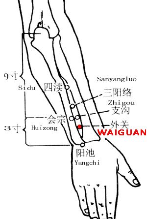 Waiguan-TE5