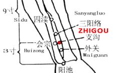 Zhigou-TE6
