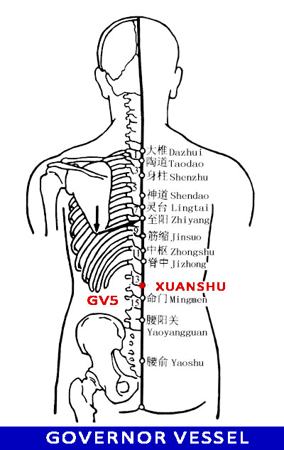 Xuanshu GV5: Nomenclature, Location, Functions, Indications, Method ...