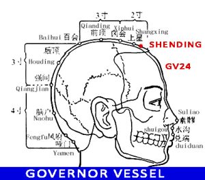Shenting-GV 24